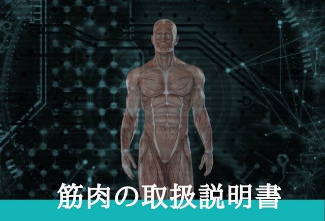 筋肉の取扱説明書