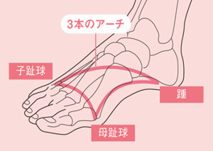 足裏筋肉図