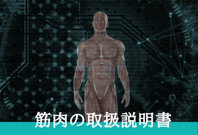 筋肉の取扱説明書